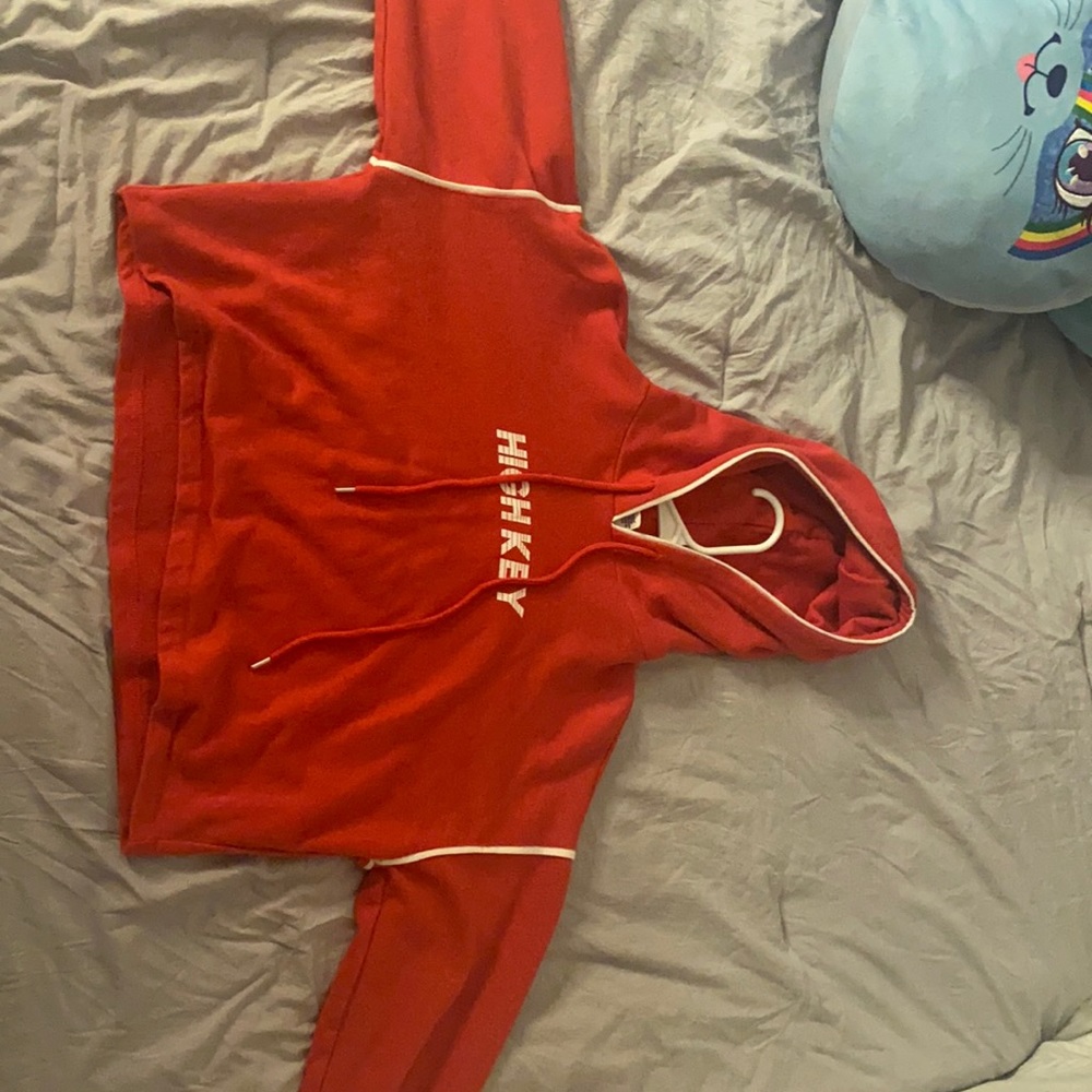 Crop top hoodie from forever 21